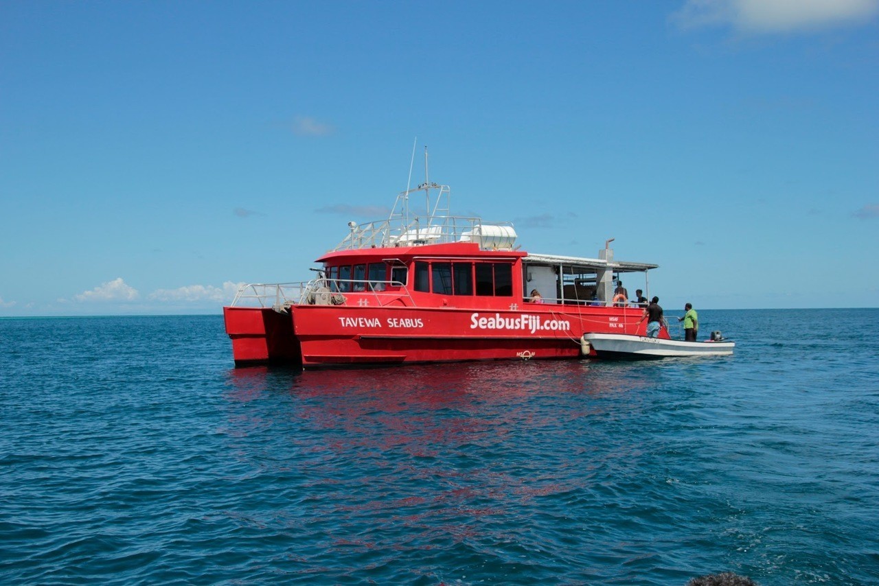 Tavewa Seabus Fiji