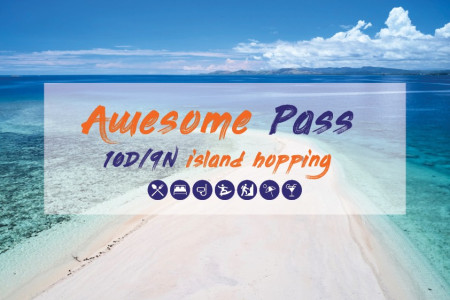 10 day Awesome Pass