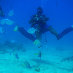 9. Scuba dive upgrade