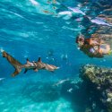 5- snorkelling