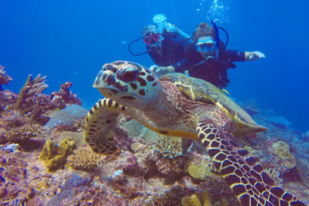 Adventure Dive Package & Stay | Mantaray Yasawa