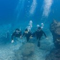 3- Divers