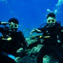 1- Divers