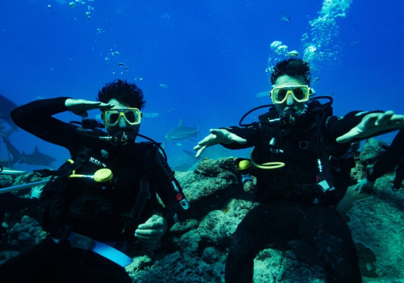 1- Divers