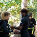 3- Divers