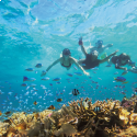 2- snorkelling