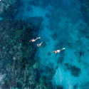 5- snorkelling