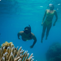9-snorkelling