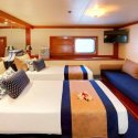 9- cabin