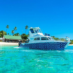 6. Island Arrivals