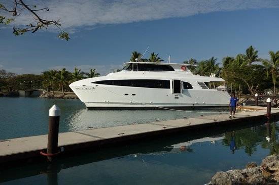 Malolo cat transfers between Fiji Islands