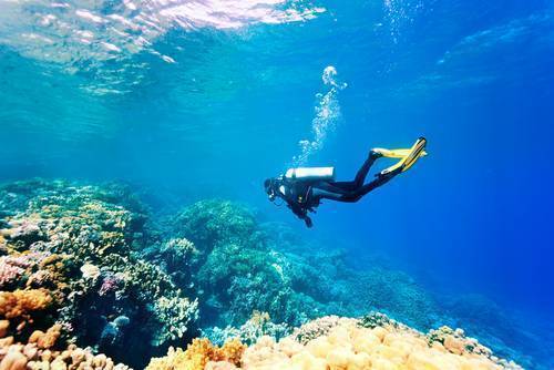 Diving Namena Vanua Levu Fiji islands