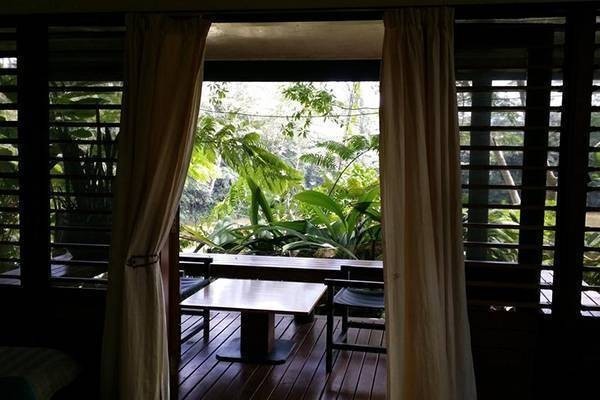 Colo-I-Suva Rainforest Eco Resort