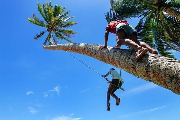 Taveuni Island attraction Fiji 