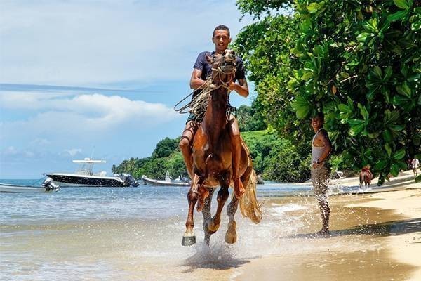 Active Tours in Tavenuni Fiji