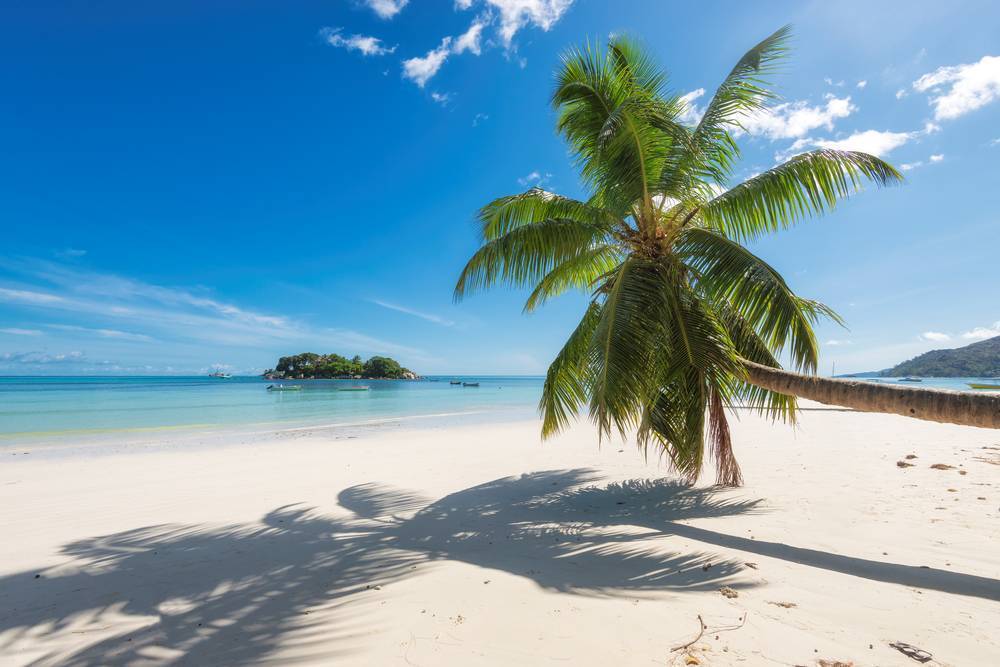 Fiji travel book island hopping